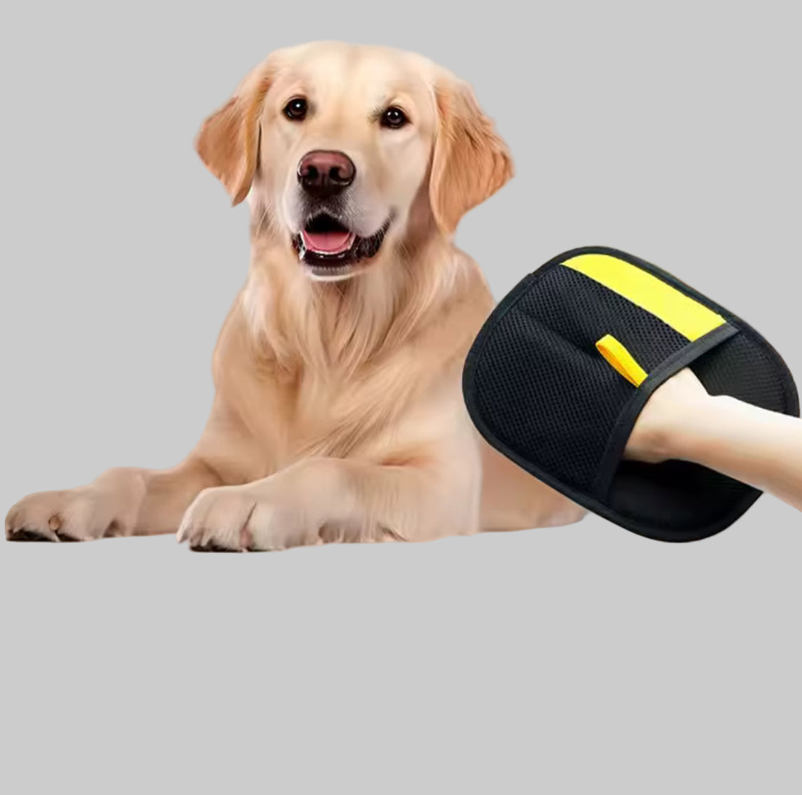 La Tua Nuova Arma Contro il Pelo di Animale!